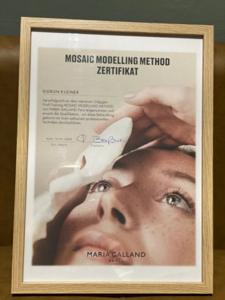 Zertifikat Mosaic Modelling